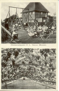 Druiven eetgelegenheid Damen Monster