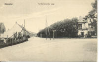 Terheijdenscheweg met villa Bijdorp