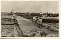 Tuinbouwbedrijf de Geest 1949
