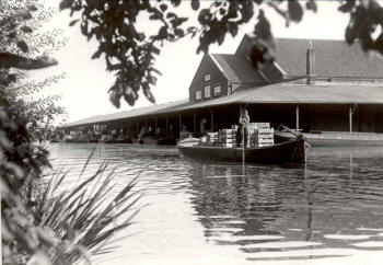 Veiling van Naaldwijk