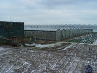 Foto genomen op een zondags wandeling van/door de fam. Tas-Storm op 12 januari 2003.