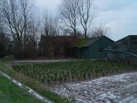 Foto genomen op een zondags wandeling van/door de fam. Tas-Storm op 12 januari 2003.