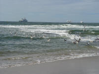 Tromp Festival in Ter Heijde 2003, foto van fam. Tas-Storm