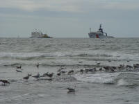 Tromp Festival in Ter Heijde 2003, foto van fam. Tas-Storm