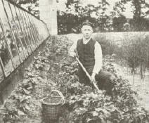 Weet U wat de tuinder links aan het doen is ?