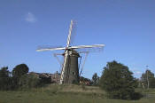 Maasland molen De Drie Lelies